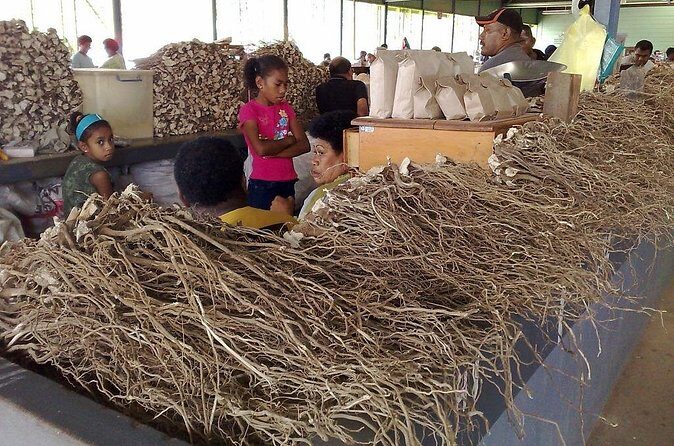 Kava Factory Tour and Flavored Kava Tasting Experience - Who Should Consider This Tour?