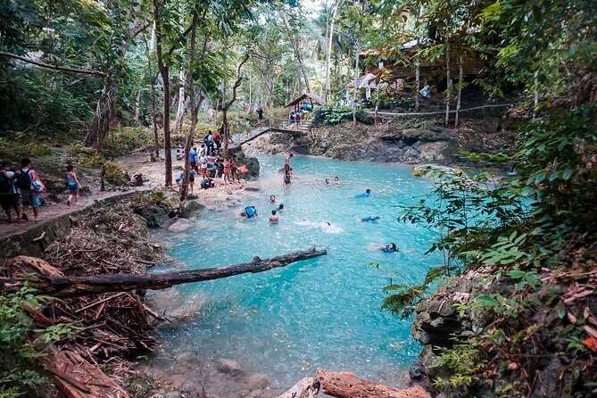 Kawasan Canyoneering, Kawasan Falls and Whaleshark Encounter - The Details of the Tour: What You Can Expect