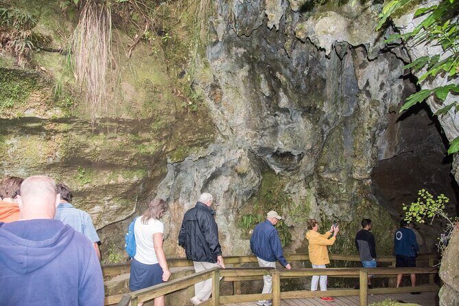 Kawiti Family Glowworm Caves Guided Tour in Bay of Islands - Key Points