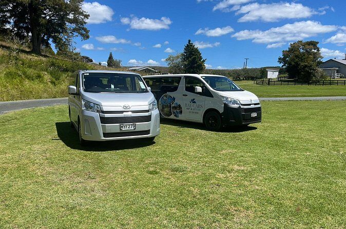Kawiti Family Glowworm Caves Guided Tour in Bay of Islands - Practical Details & Tips