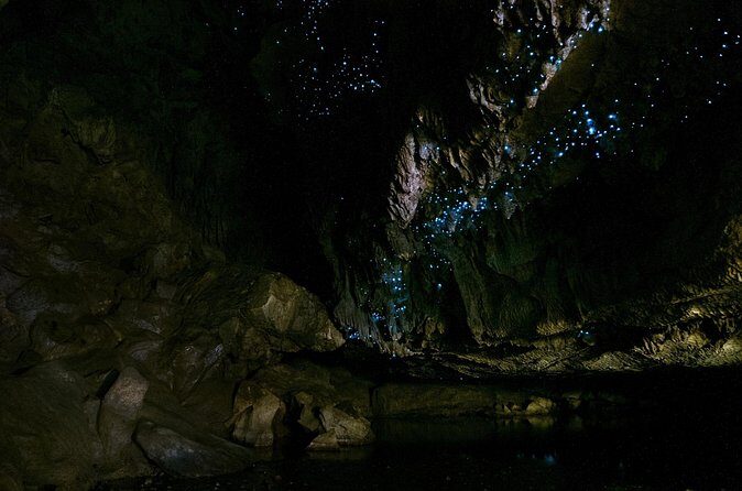Kawiti Family Glowworm Caves Guided Tour in Bay of Islands - What Reviewers Say