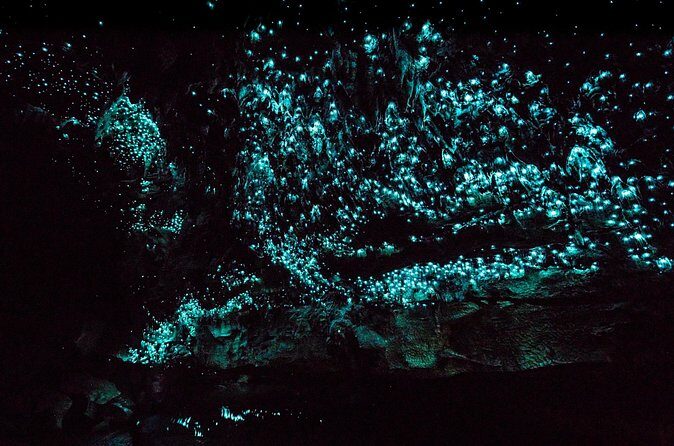 Kawiti Family Glowworm Caves Guided Tour in Bay of Islands - FAQs