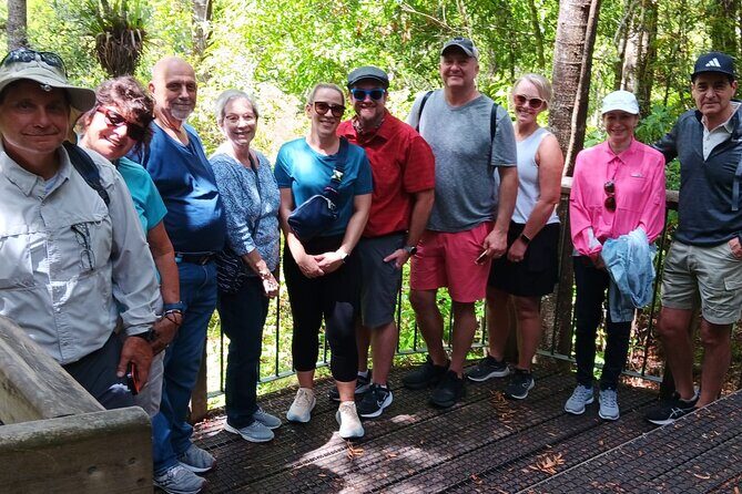 Kawiti Glow Worm Cave Tour & Opua Forest Walk - Practical Tips for Future Travelers