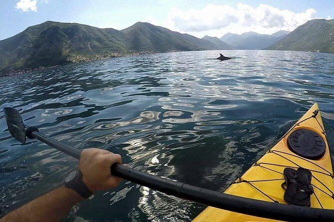 Kayak active tour - An In-Depth Look at the Kayak Active Tour