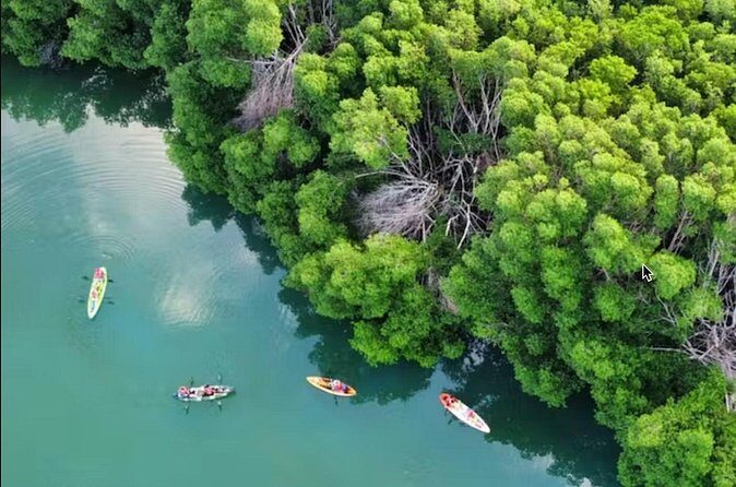 Kayak Activity in Nichupte Lagoon opt. Roundtrip transportation - Who Will Love This Tour?
