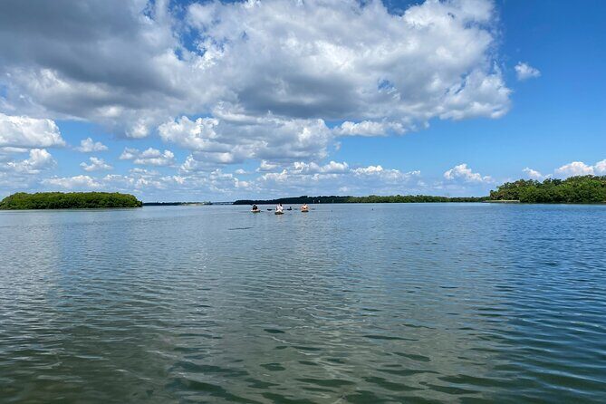 Kayak Adventure at Shell Key Preserve in Tierra Verde - What the Tour Offers in Detail