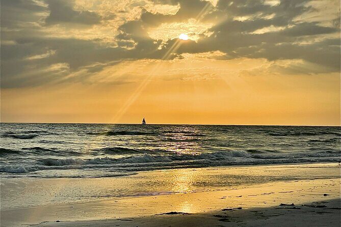 Kayak Adventure at Shell Key Preserve in Tierra Verde - Who Would Love This Tour?