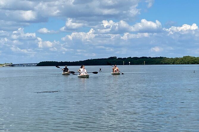 Kayak Adventure at Shell Key Preserve in Tierra Verde - FAQ