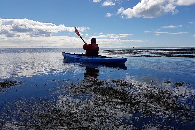 Kayak Adventure - An Authentic and Practical Experience on the Water