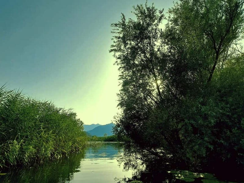 Kayak Adventure: Paddle your way through Lake Skadar - Authentic Experiences & Tips from Reviews