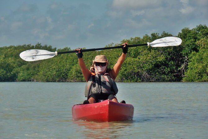 Kayak adventure through Laguna Nichupté in Cancun - An In-Depth Look at the Laguna Nichupté Kayak Tour