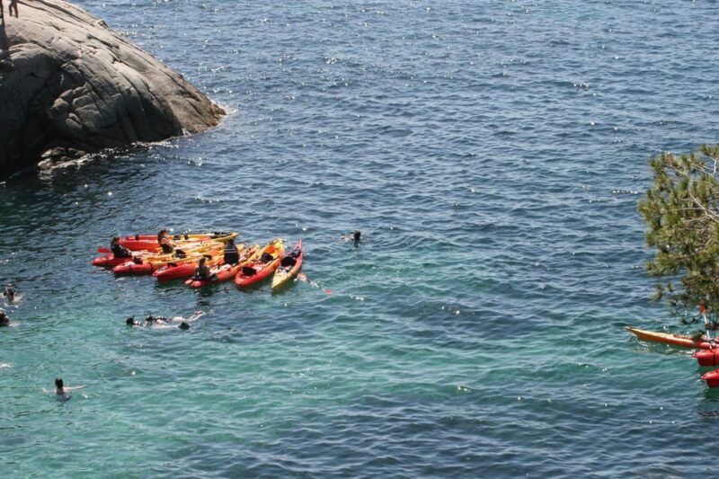 Kayak and Snorkel in Playa de Aro, Costa Brava - Final Thoughts: Is This Tour Right for You?