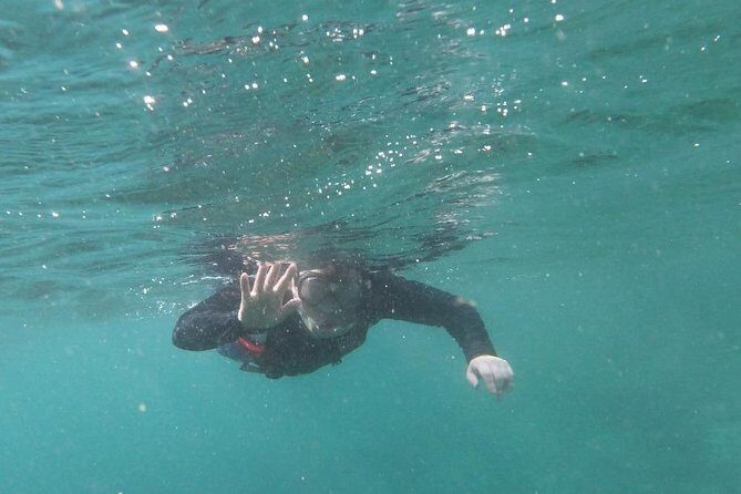 Kayak and Snorkel Tour Half Day - A Deep Dive into the Da Nang Kayak and Snorkel Experience