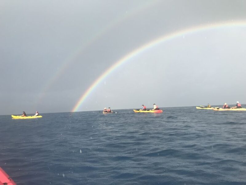 Kayak and Snorkel West Maui at Olowalu - The Sum Up