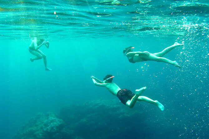 Kayak and Snorkel with Sunset in Ibiza - A Close Look at the Experience