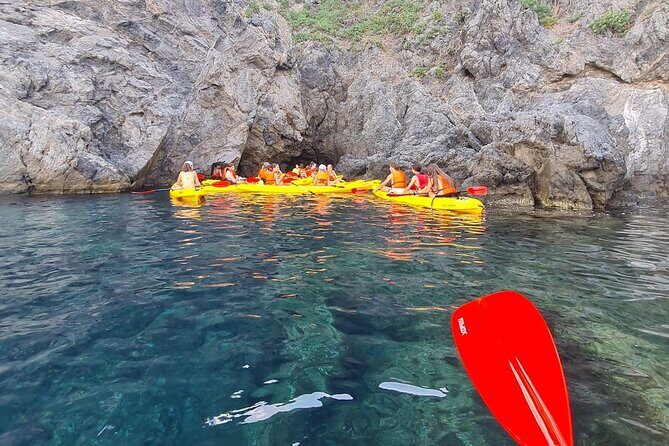 Kayak and Snorkeling Tour in the Bergeggi Island MPA - Practical Tips for a Smooth Trip