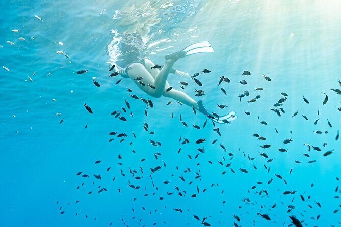Kayak and Snorkeling Tour in the Bergeggi Island MPA - Is This Tour Right for You?