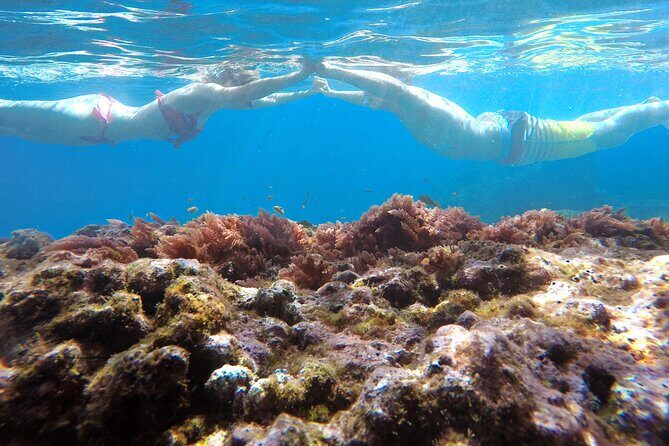 Kayak and Snorkeling Tour in Underwater Nature Reserve Garajau - The Value of This Tour