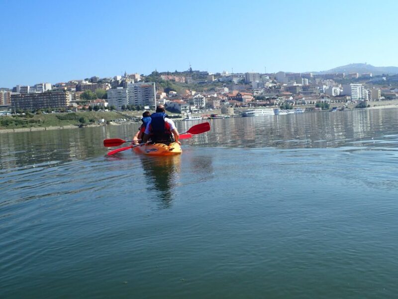 Kayak - Douro Valley - In-Depth Look at the Kayak Douro Valley Tour