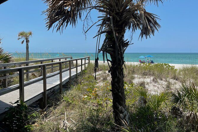 Kayak Eco Tour in Don Pedro Island - An In-Depth Look at the Don Pedro Island Kayak Eco Tour