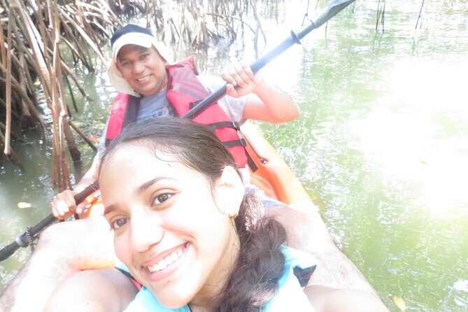 Kayak Eco tourism in Miami Bay - The Sum Up