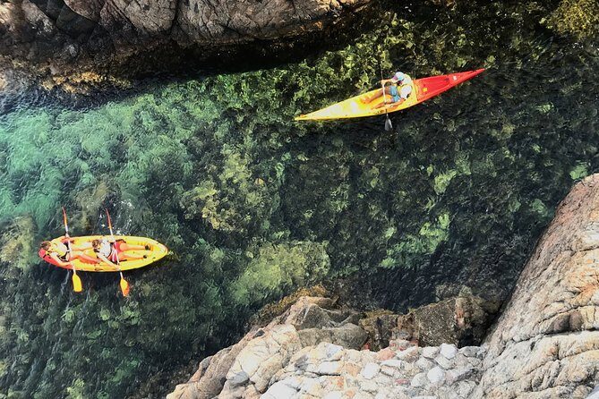Kayak excursion in Playa de Aro - The Guides and Group Dynamics