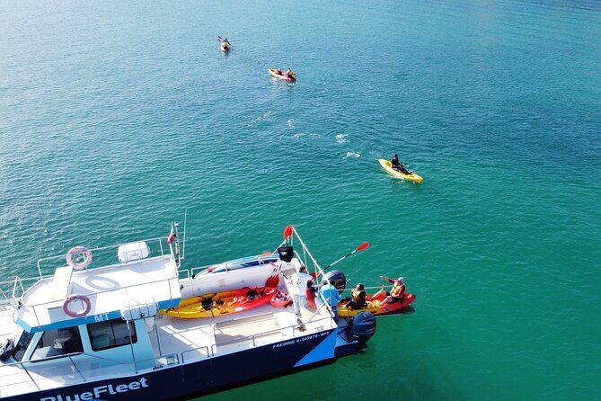Kayak Experience in Ponta da Piedade - Practical Details & Tips