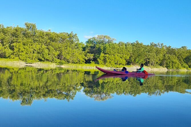 Kayak Experience in the Mangroves of Holbox Island - The Experience’s Strengths and Considerations