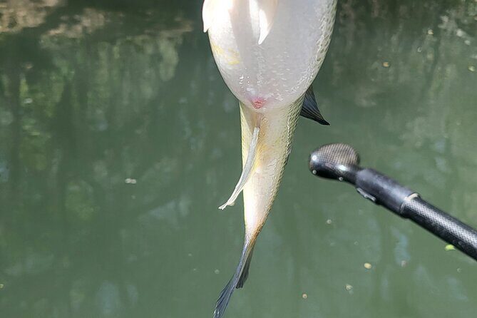 Kayak FISHING Down The Verde River Full Day 20 min from Sedona - Introduction: What Makes This Kayak Fishing Tour Stand Out