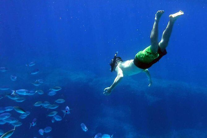 Kayak Gozo and Comino Guided Kayak Adventure - Who Will Love This Trip?