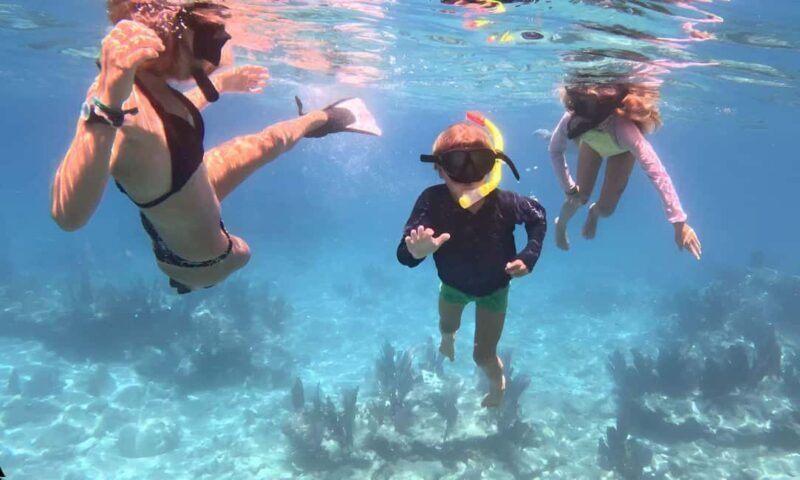 Kayak + Guided Snorkel & Morning Sail - Key Points