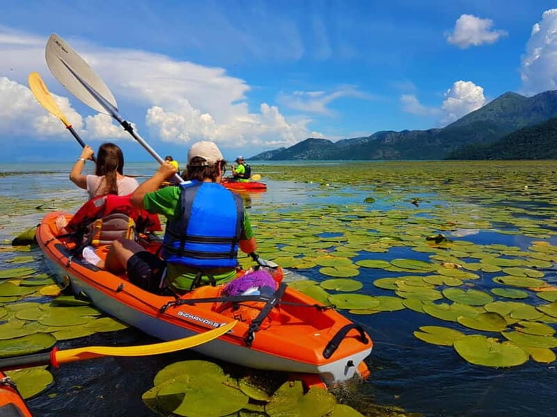 Kayak Guided Tour Skadar lake - Adventure in National park - Key Points