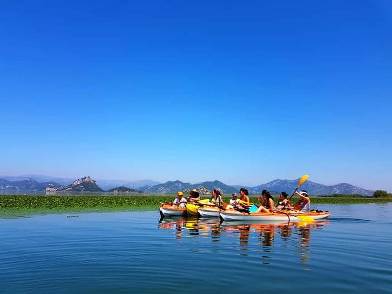 Kayak Guided Tour Skadar lake - Adventure in National park - What to Expect on Your Skadar Lake Kayak Tour