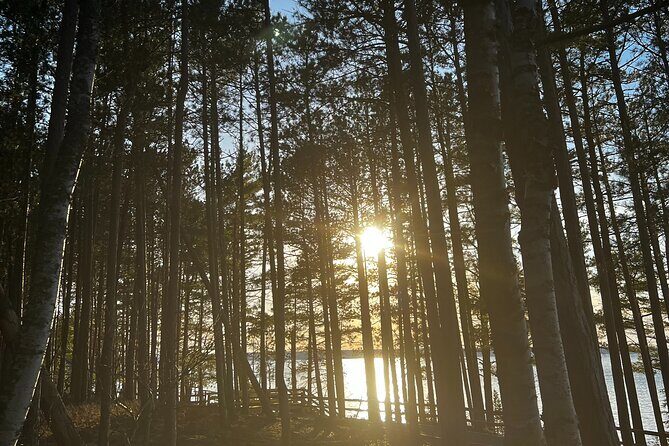 Kayak & Hike Adventure Tour at Peninsula State Park - An In-Depth Look at the Kayak & Hike Tour