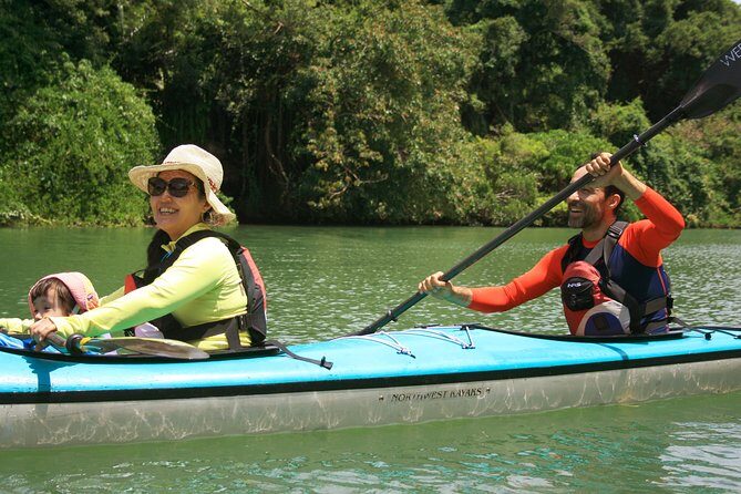 Kayak Mangroves or Coral Reef: private tour in north Okinawa - Who Should Consider This Tour?
