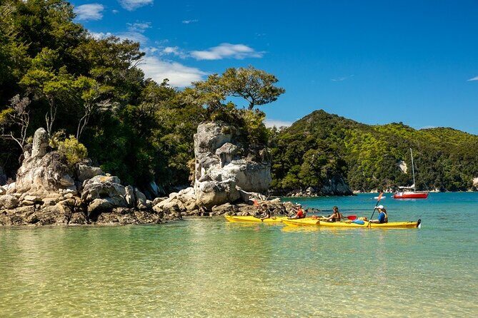 Kayak & Pitt Head Nature Loop - Guided Kayak & Unguided Walk - New Zealand - Authentic Experiences Throughout the Day