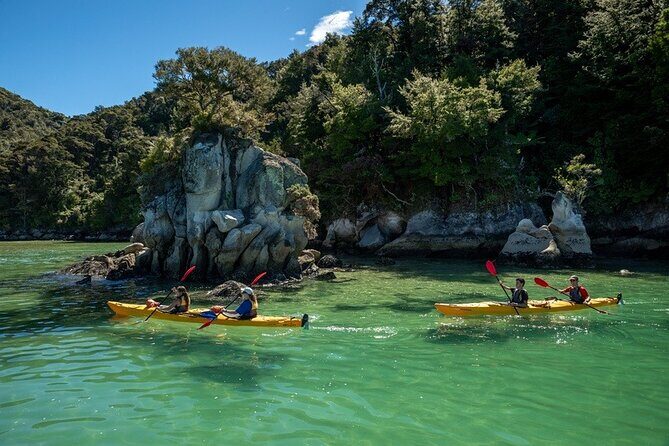 Kayak & Pitt Head Nature Loop - Guided Kayak & Unguided Walk - New Zealand - FAQs