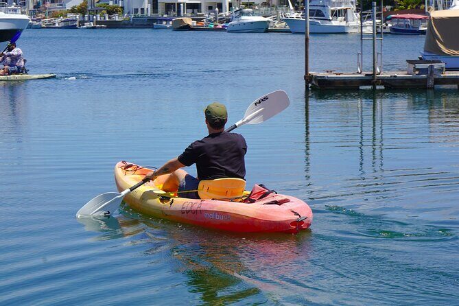Kayak Rental in Huntington Beach - Why Choose Huntington Beach Kayak Rental?