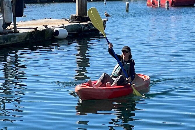 Kayak Rental in Redondo Beach, USA - Who Should Consider This Experience?