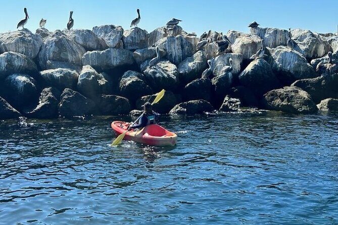 Kayak Rental in Redondo Beach, USA - The Sum Up: Is It Worth It?