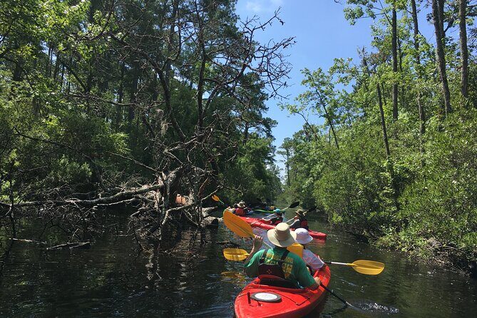 Kayak Rental on the Outer Banks - Best For