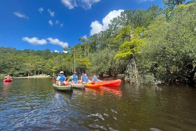 Kayak Rental on the Waccamaw River - Exploring the Waccamaw River Kayak Rental: A Detailed Review