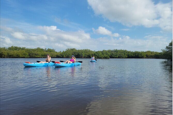 Kayak Rentals - The Sum Up: Is This Kayak Rental Right for You?