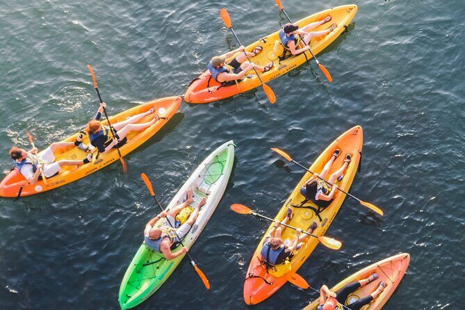Kayak Rentals on Lady Bird Lake - An Overview of the Kayak Rental Experience