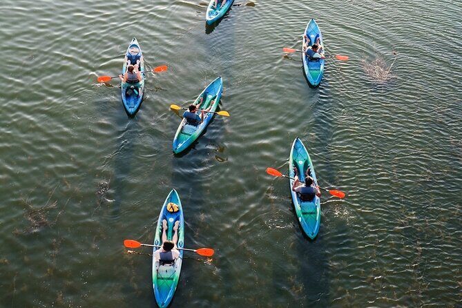 Kayak Rentals on Lady Bird Lake - Who Would Love This Experience?