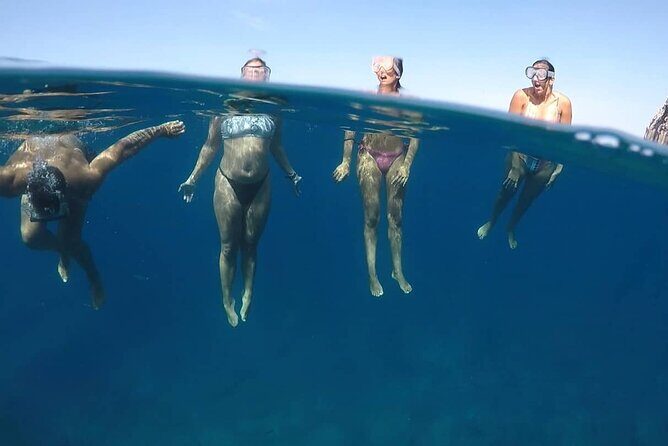 Kayak Safari with Dolphin and Turtle Watching in Guaza - Snorkeling Experience