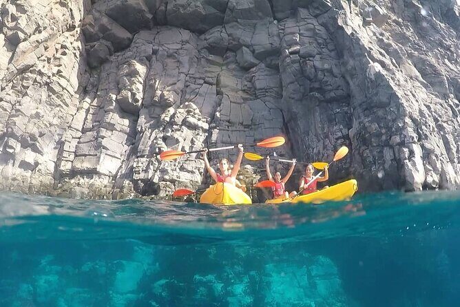 Kayak Safari with Dolphin and Turtle Watching in Guaza - The Return and Overall Atmosphere
