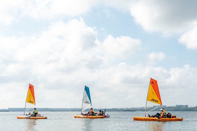 Kayak Sailing in Singapore, Mangrove, Kelong & Pulau Ubin, Seafood Meal Included - Who Should Consider This Tour?