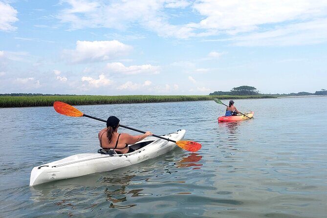Kayak Salt Marsh Maze Tour - The Reviews Speak Volumes