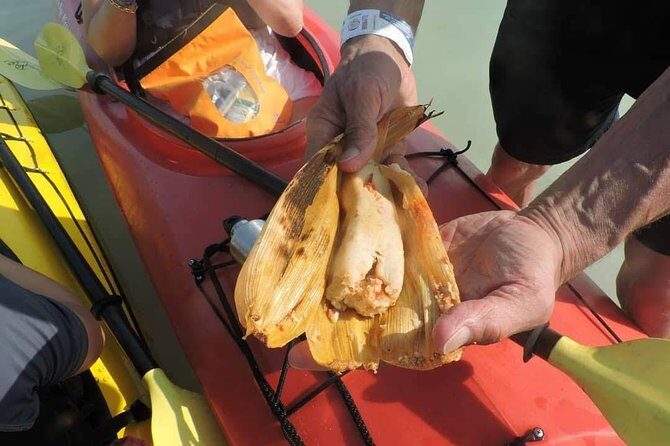 Kayak Sian Kaan Biosphere Reserve Sunset Tour - Introduction: An Authentic Eco-Adventure Near Tulum